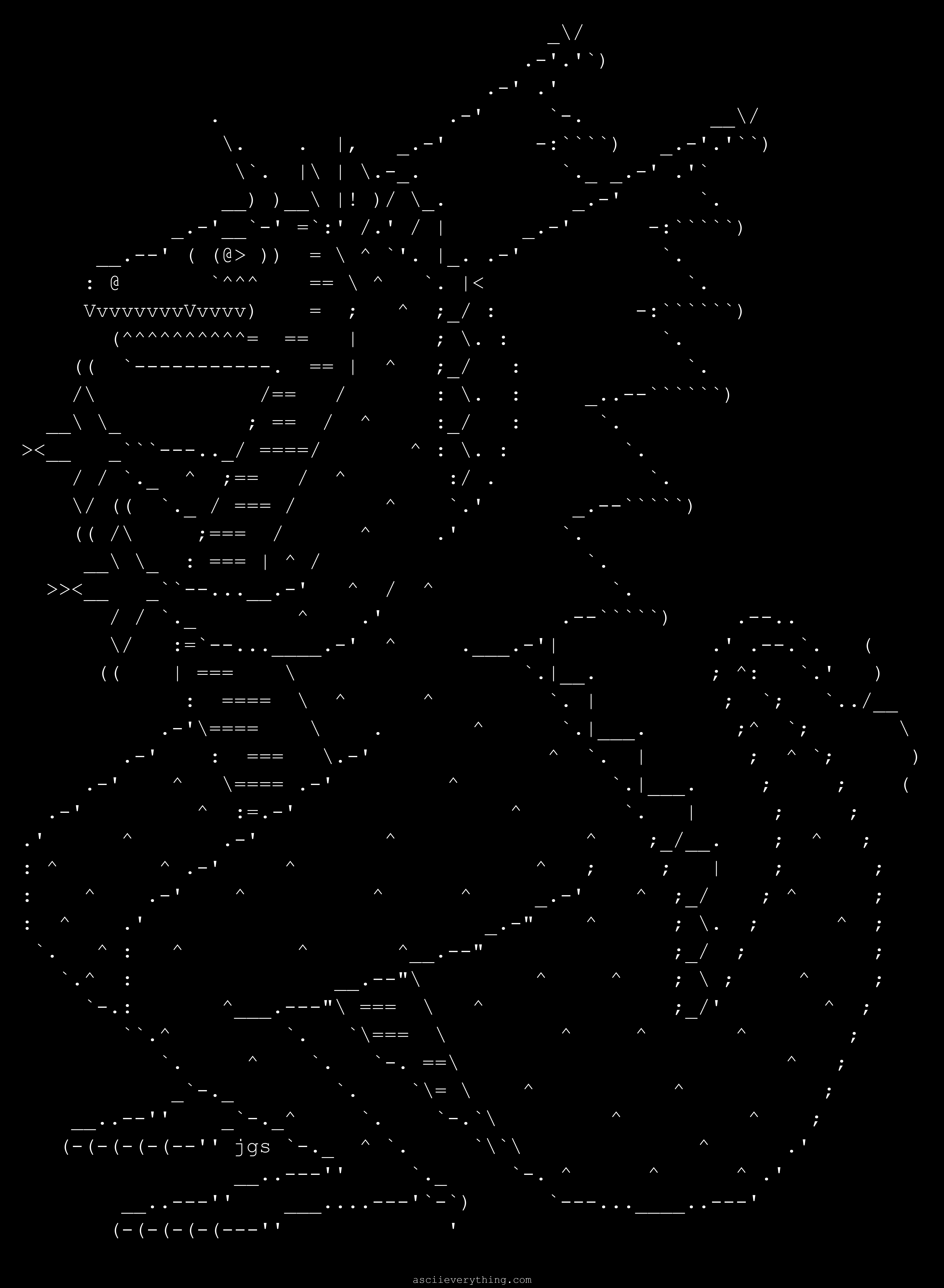 dragons