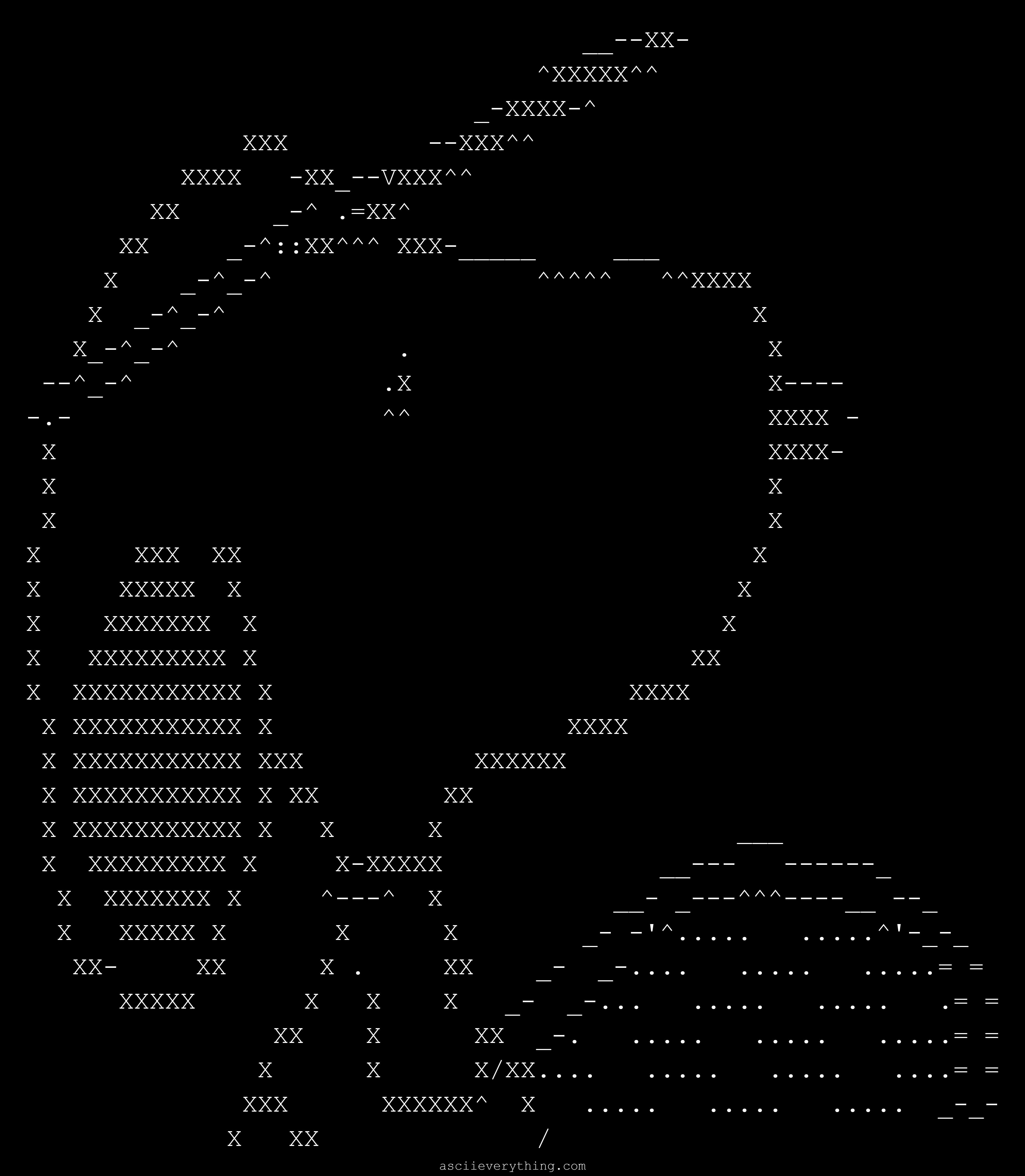 Ric_Hotchkiss_sdrc_com