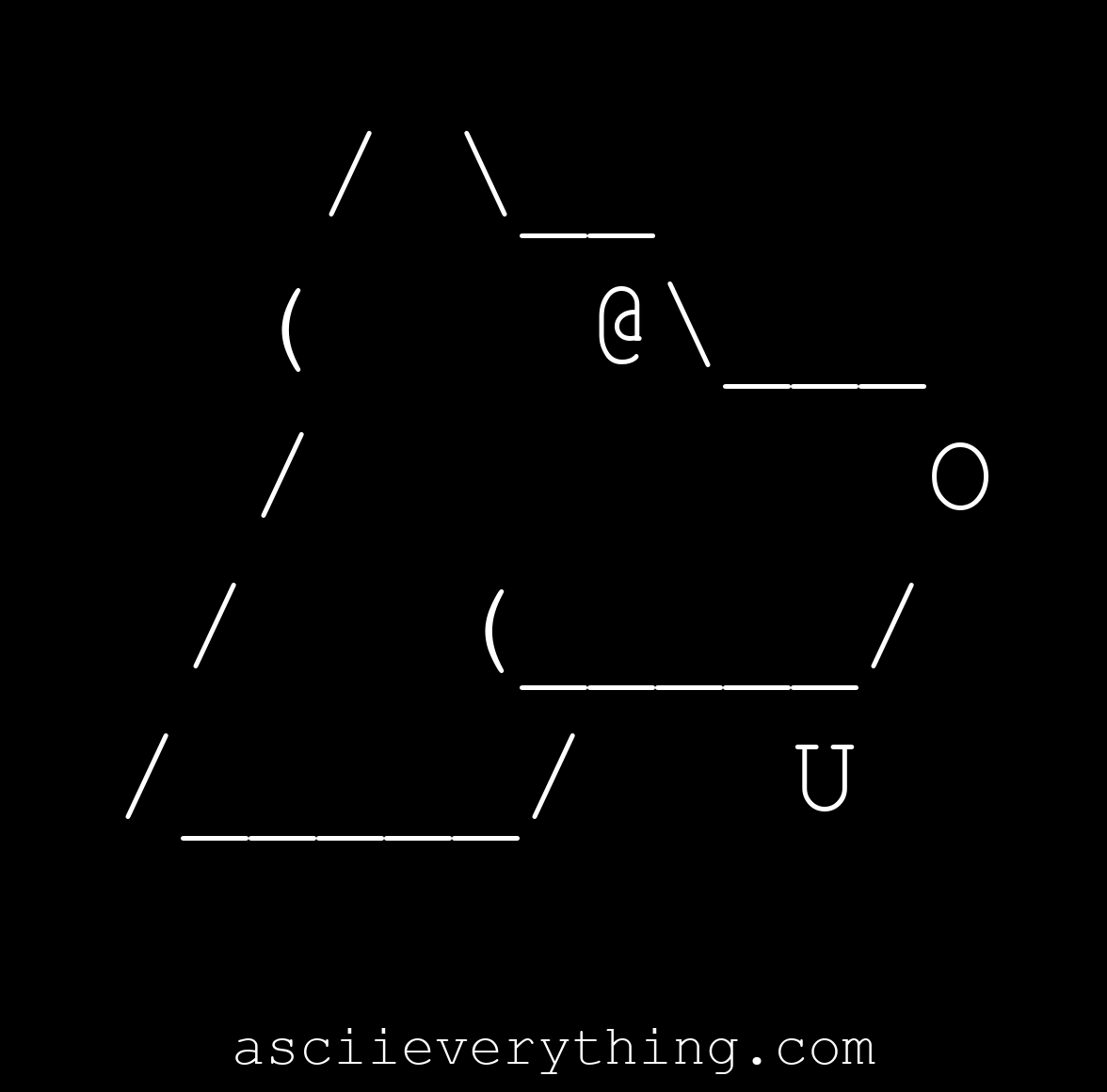 Razza - a mix of Lab and Chow