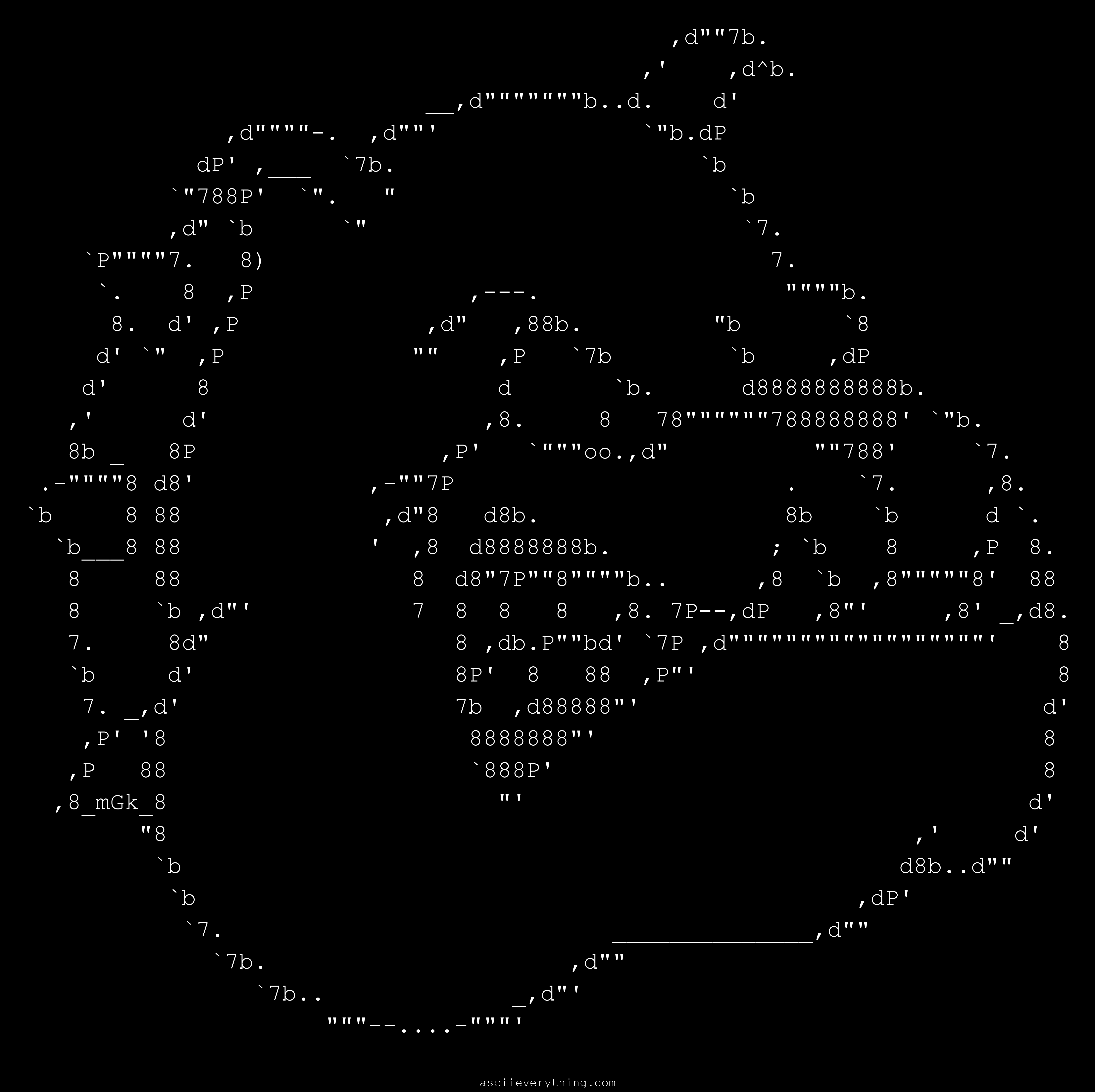 Michal 'Goldmoon' Kwasniewski