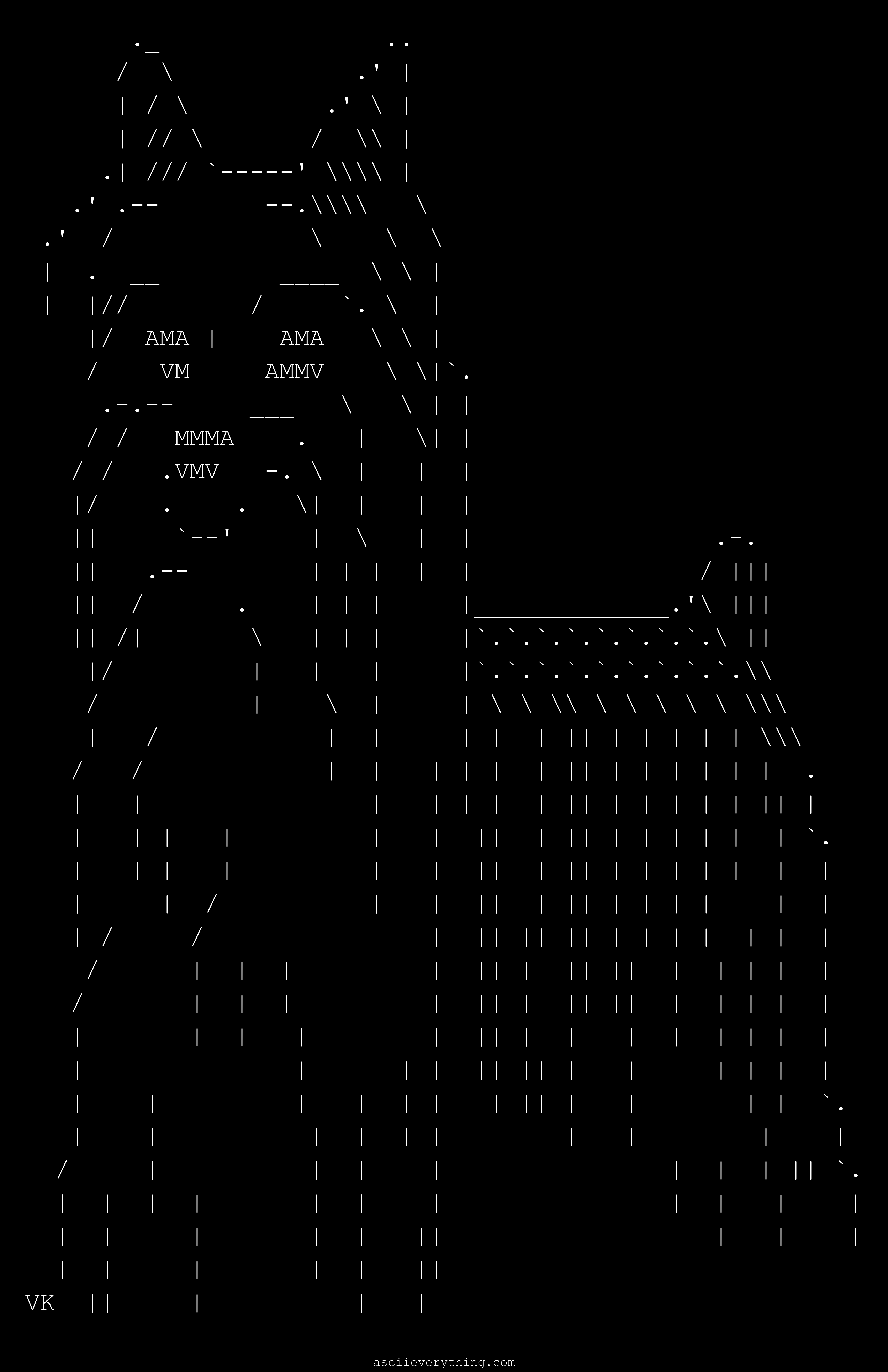 Yorkshire terrier, 'yorkie'