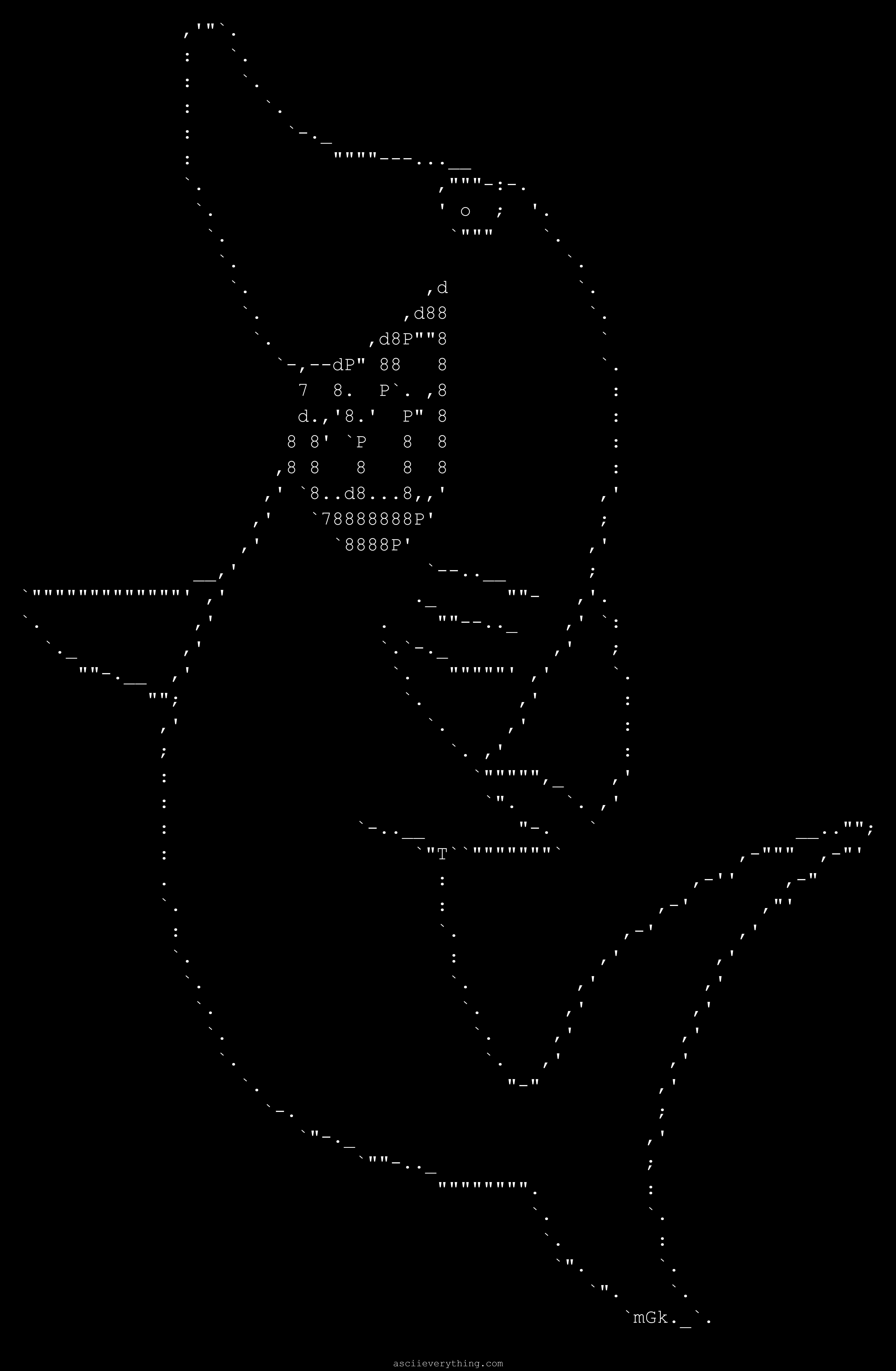 Michal 'Goldmoon' Kwasniewski