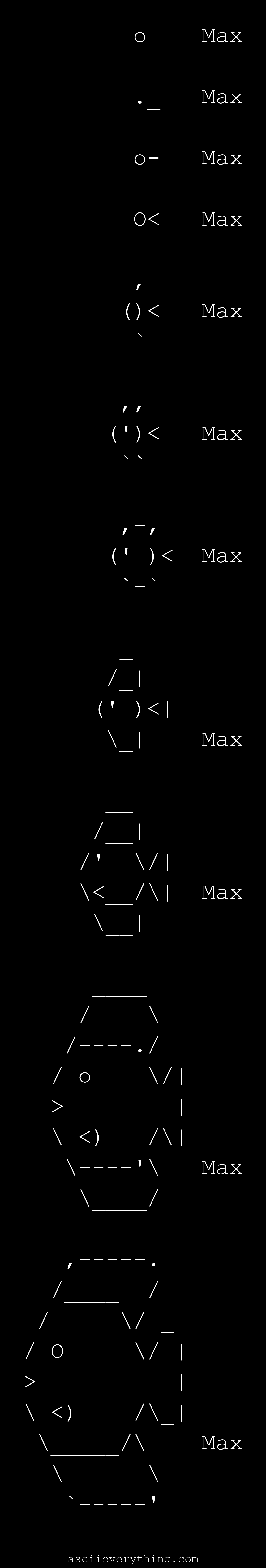 A growing high body discus, from egg to juvenile
