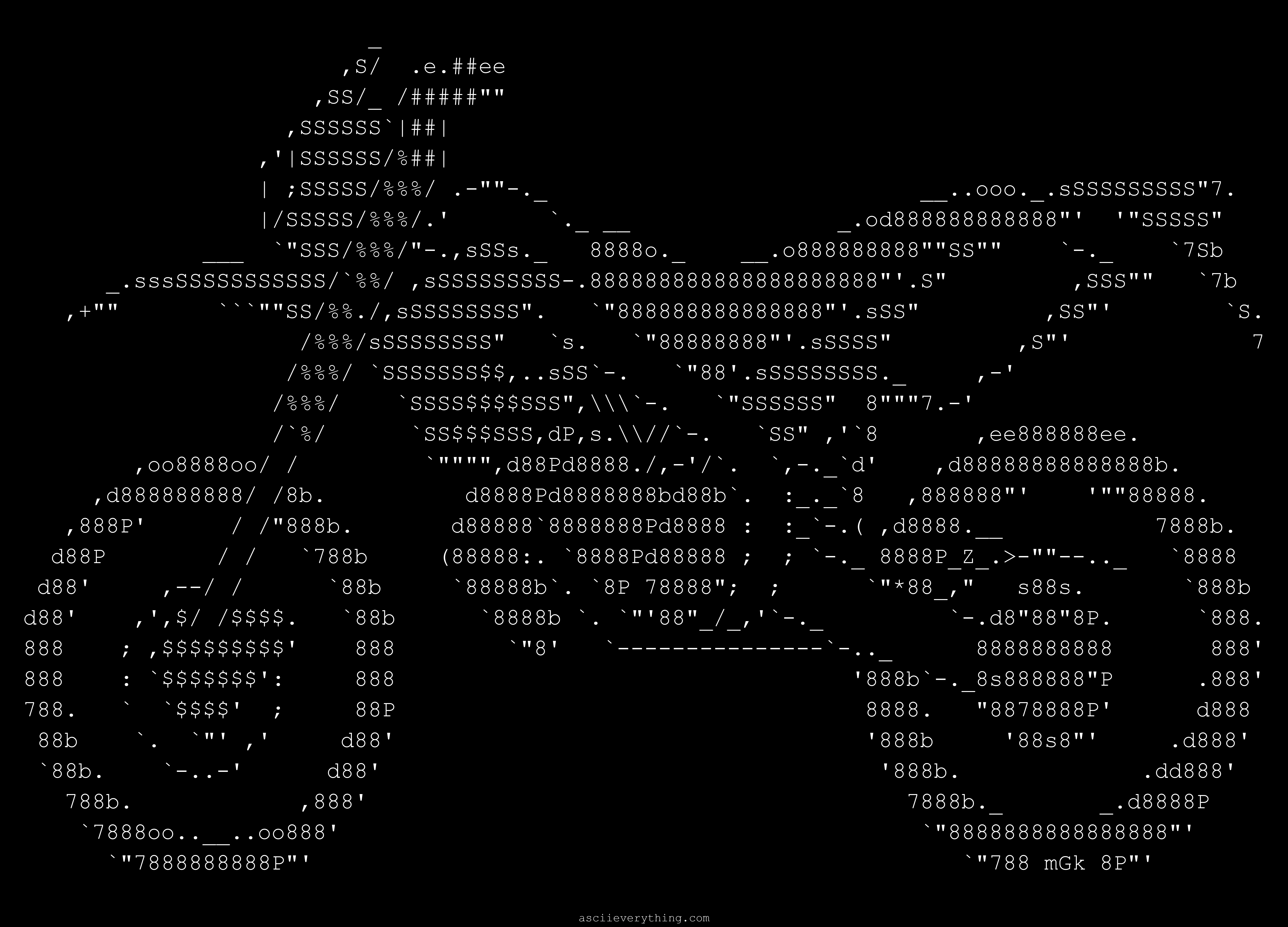 Michal 'Goldmoon' Kwasniewski