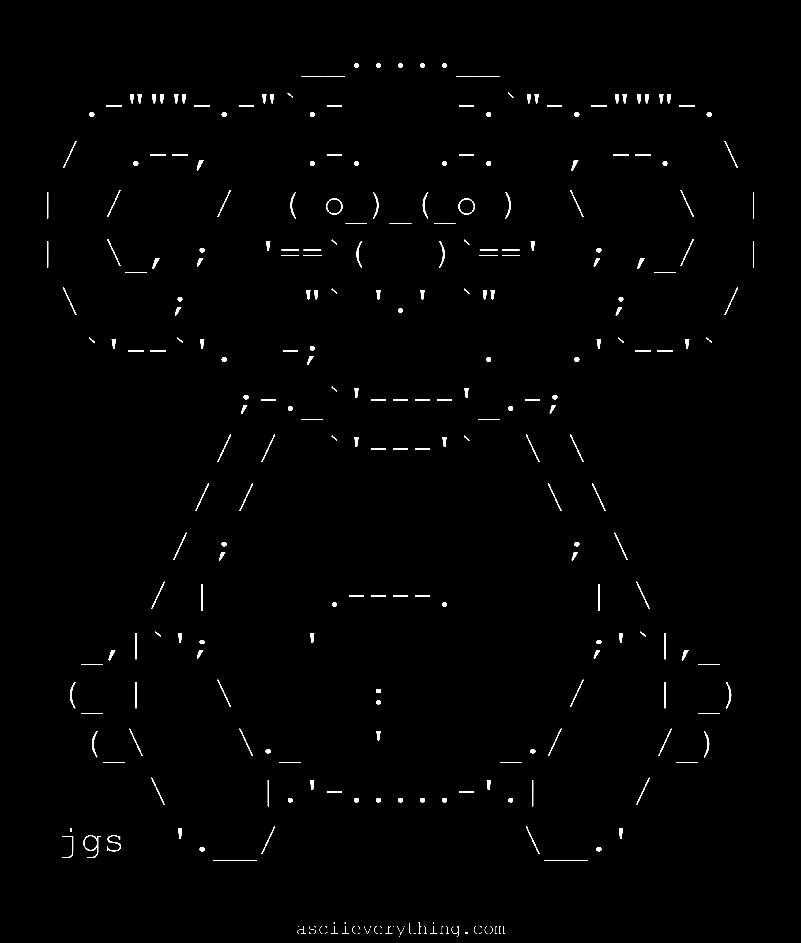 Oska, the koala bear