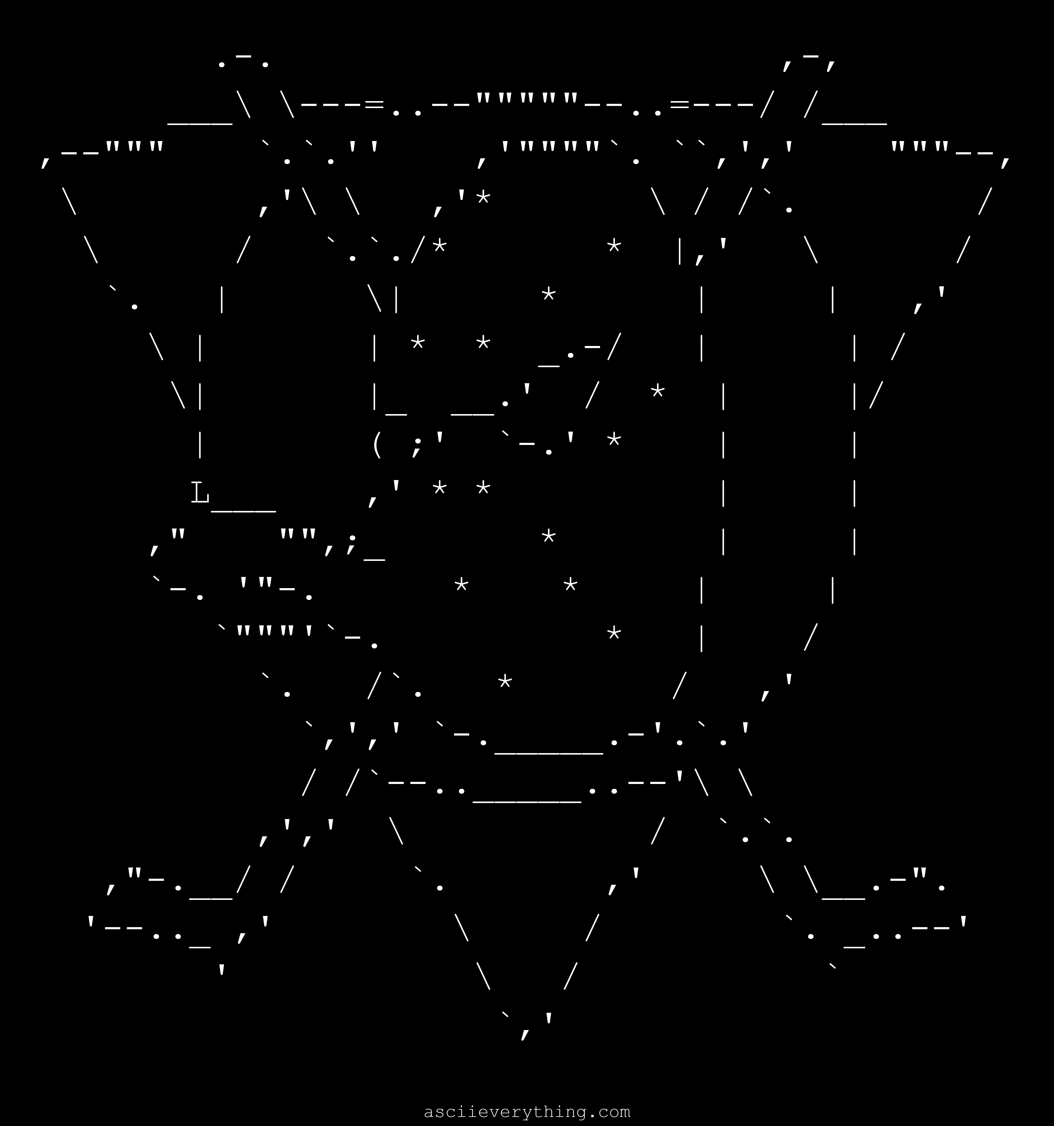 Anaheim Mighty Ducks