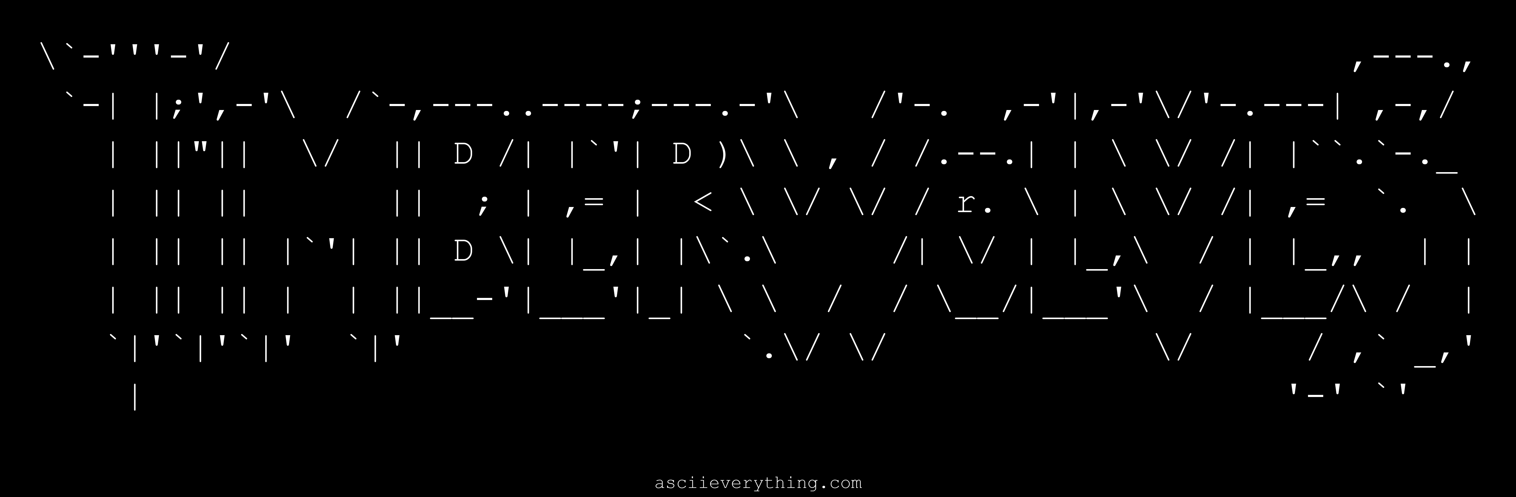 Minnesota Timberwolves