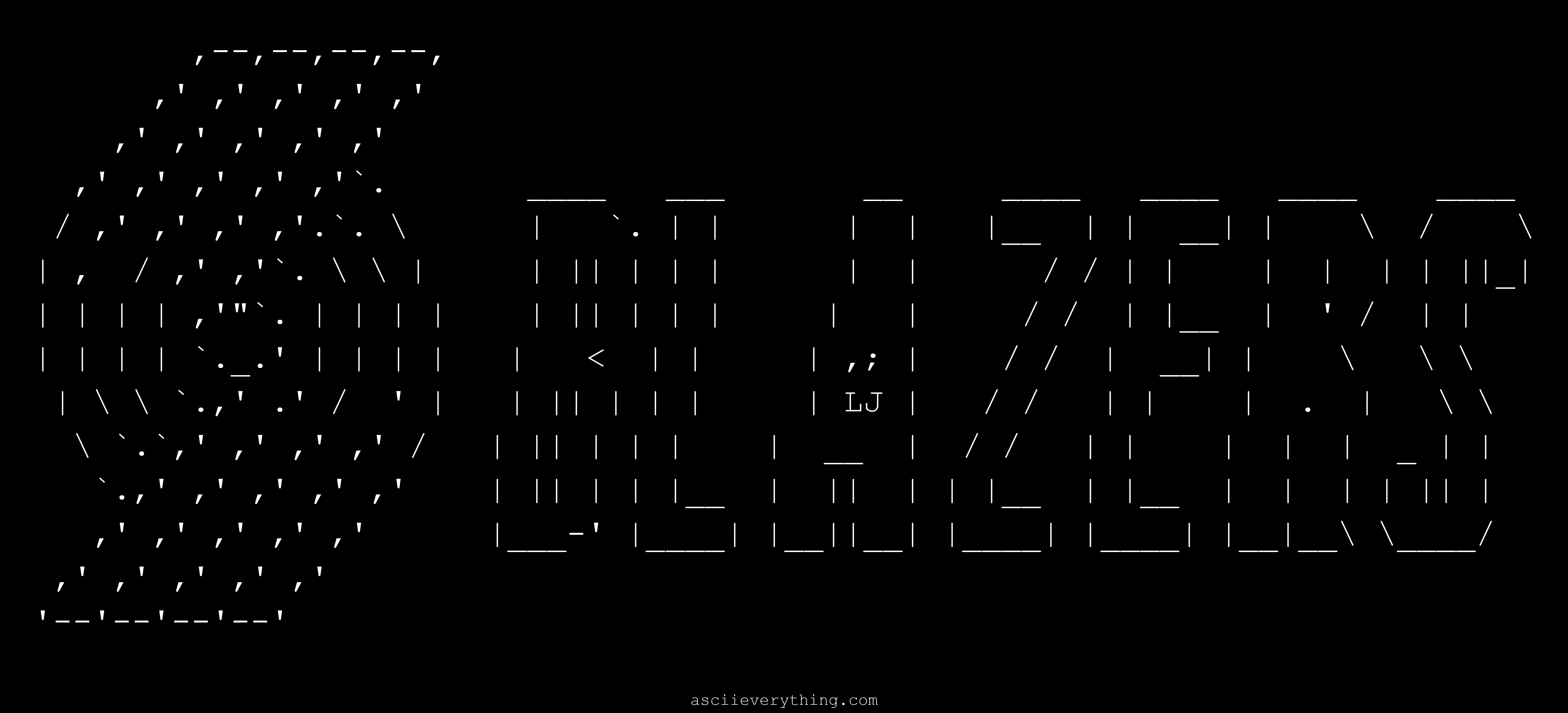 Portland Trailblazers