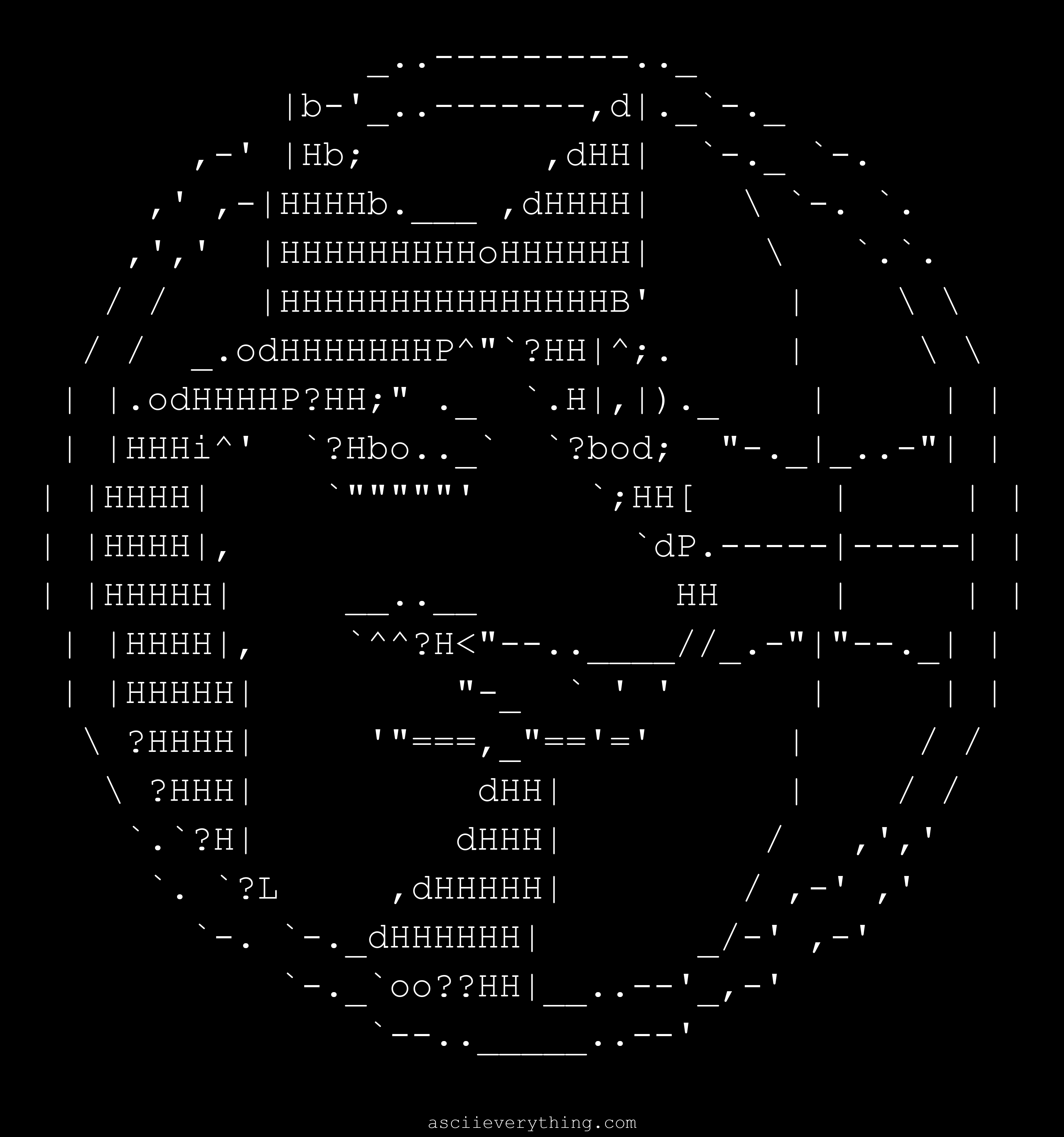 Minnesota Timberwolves