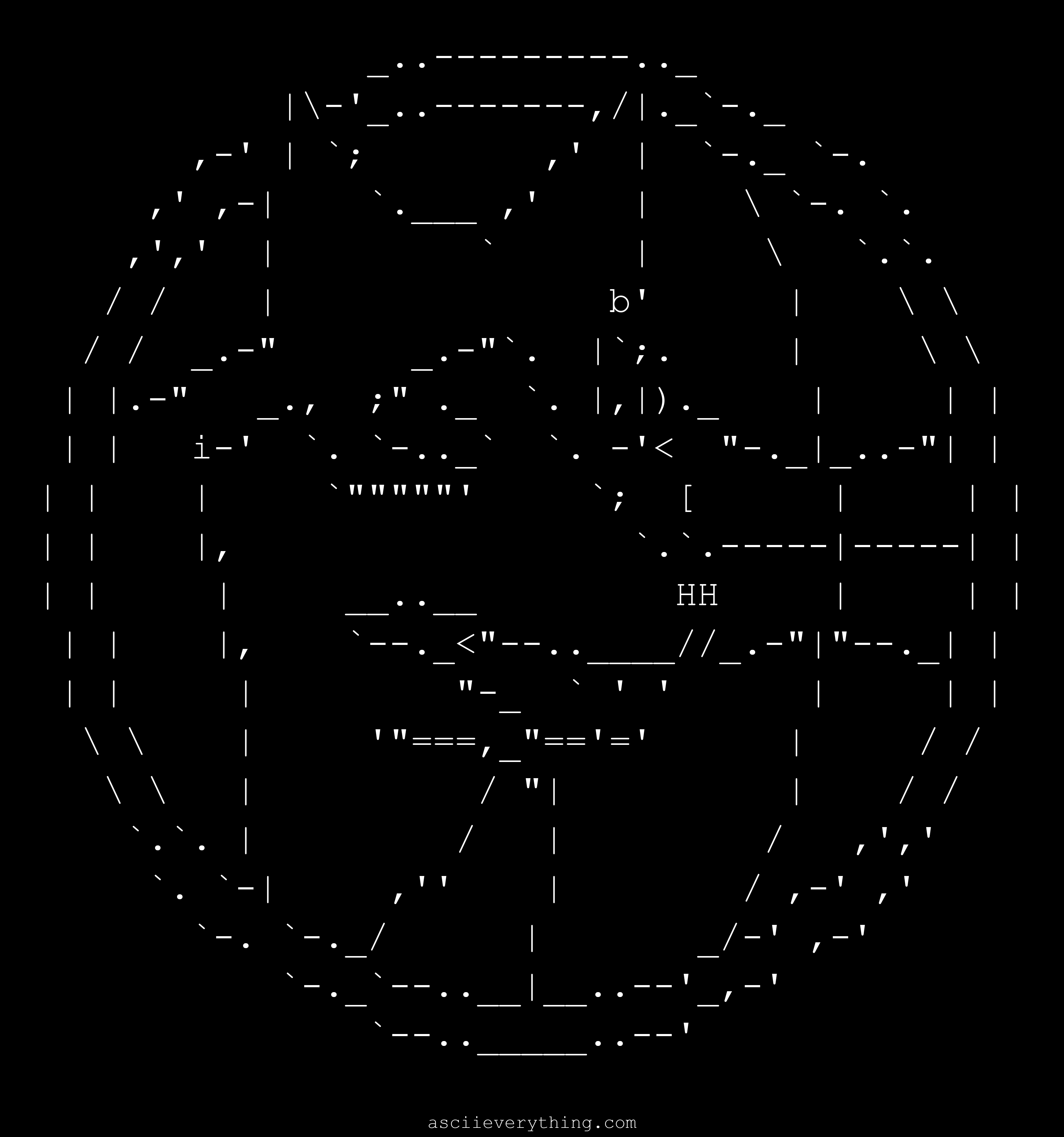 Minnesota Timberwolves